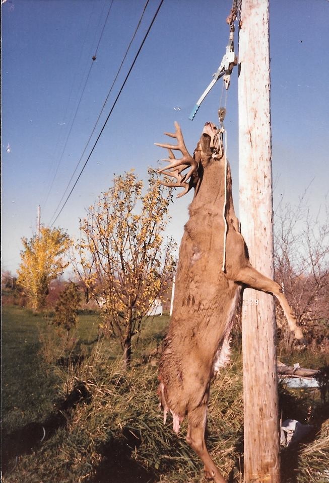 This is Bullwinkle, a 21 Point Buck that I hit with my little pickup truck in a accident on Halloween Weekend of 1986