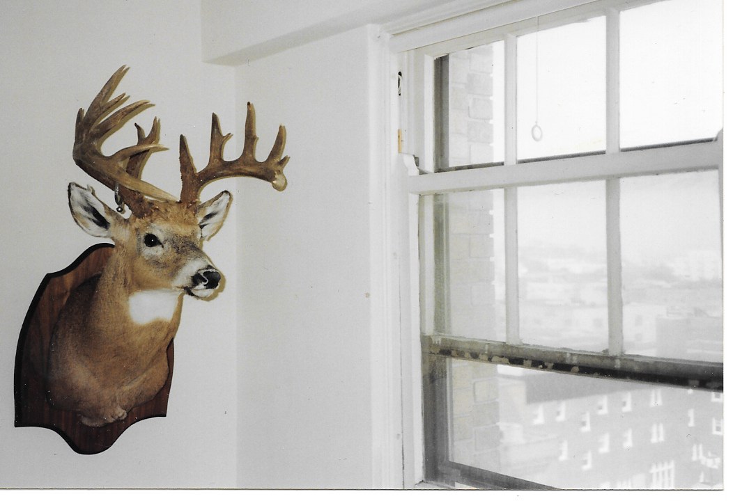 This is Bullwinkle, a 21 Point Buck that I hit with my little pickup truck in a accident on Halloween Weekend of 1986