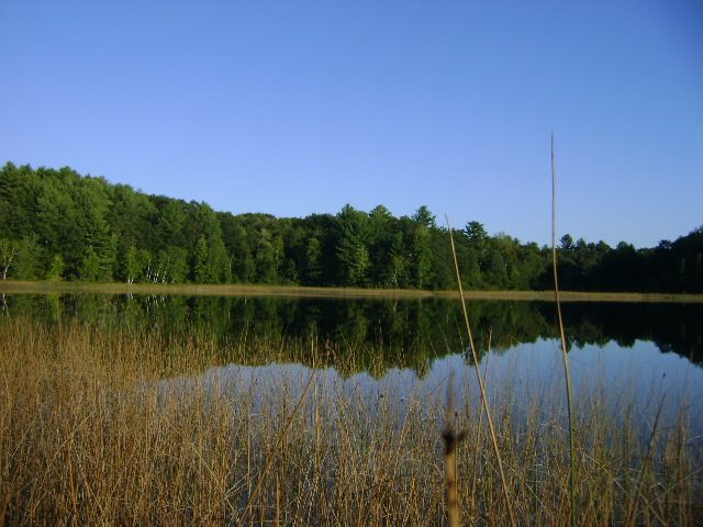 Skunk Lake