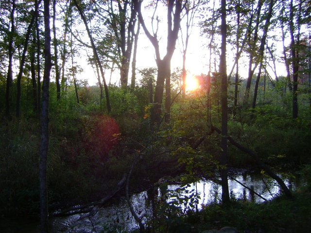 Radley Creek Sunset